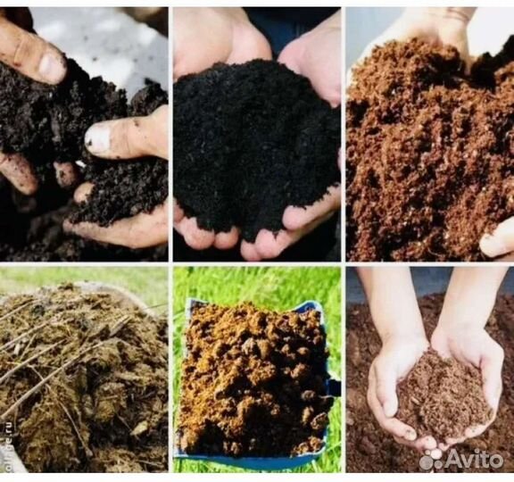 Новоз, перегной,чернозём