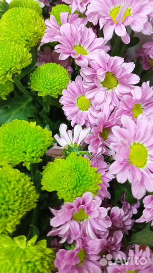 Цветы букеты в Томске и Северске