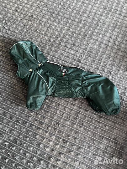 Костюм для маленькой собачки