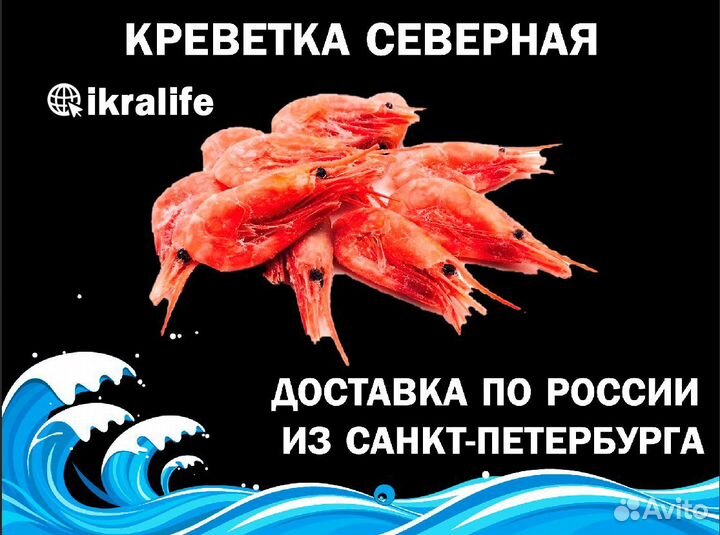 Креветка Северная для ИП. Доставка сдэк