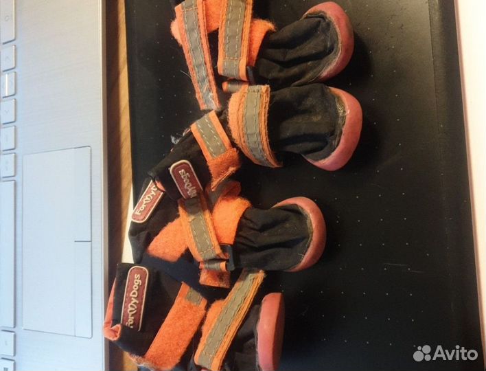 Обувь для собак мелких пород