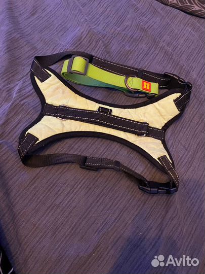 Одежда для собак, амуниция