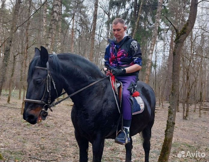 Администратор/заместитель управляющего