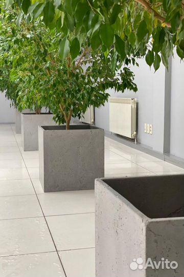 Цветочный горшок из бетона