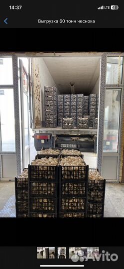 Грузчики на час/Разнорабочие