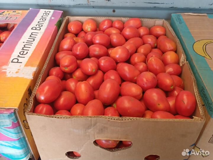 Томат сливка