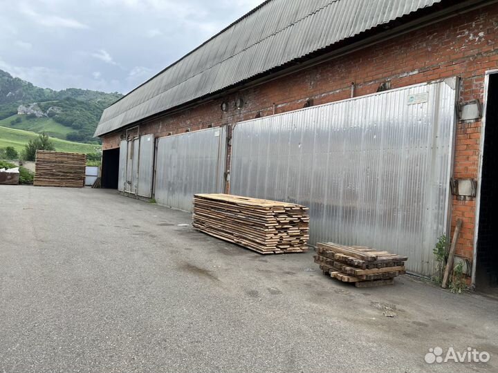 Бук доска сухая