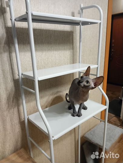 Стеллаж металлический