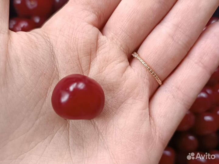 Ягоды вишни