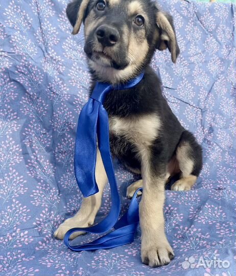 Вы тоже об этом думаете