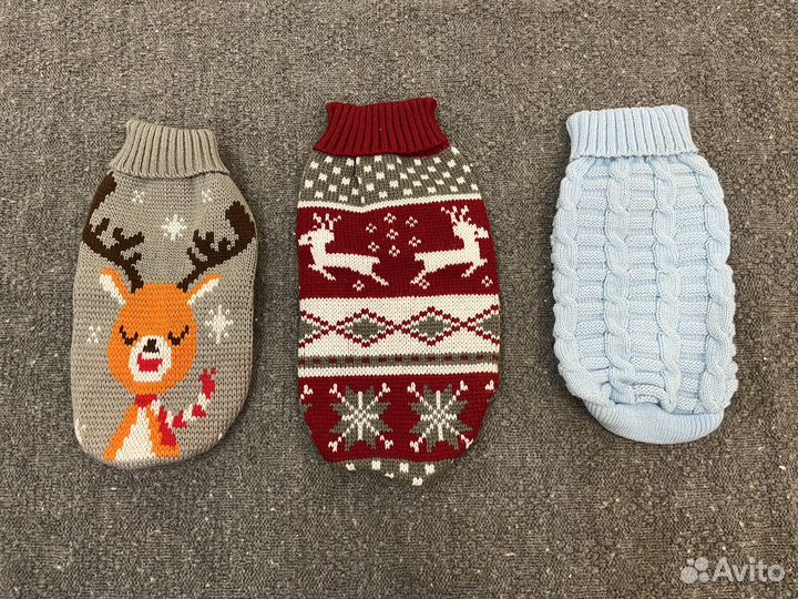 Одежда для маленьких собак