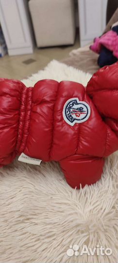 Комбинезон для маленьких пород собак