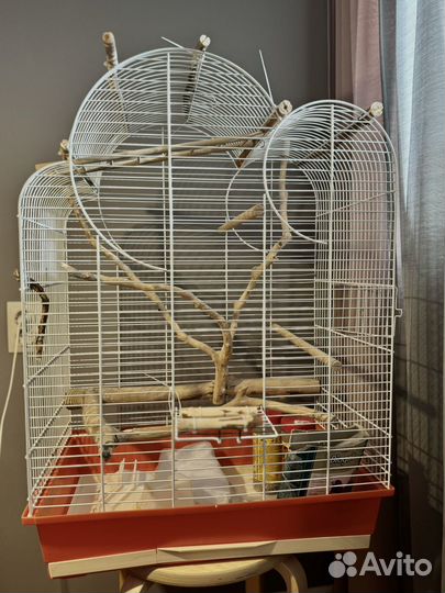 Большая клетка для птиц