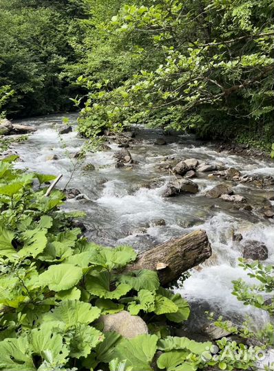 23 июня йога и спа Релакс-Ретрит в лесу