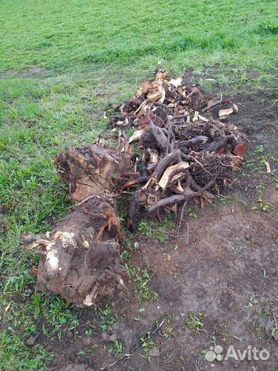 Грузчики. Разнорабочие. Чистка снега