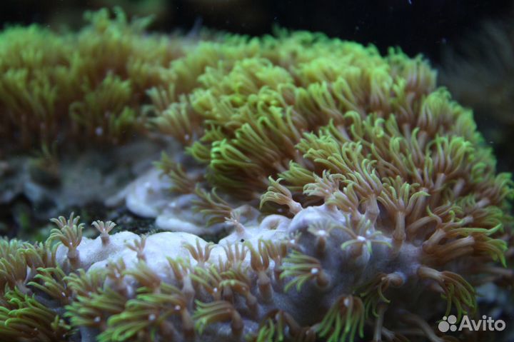 Морской аквариум 3200 литров