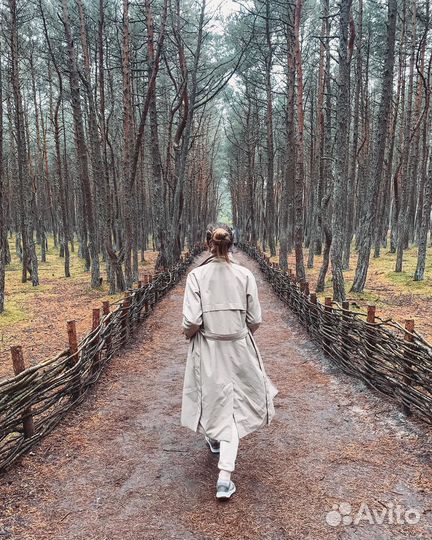 Экскурсия на Куршскую Косу без суеты и спешки