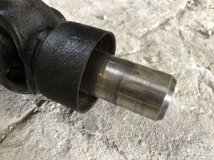 Кадран тирсан на газель