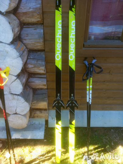 Беговые лыжи