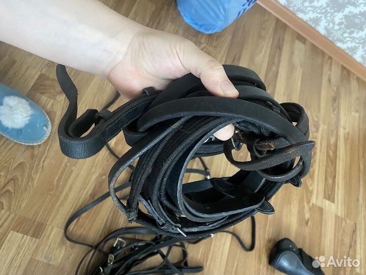 Повод для лошади