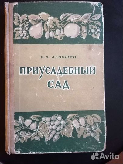 Приусадебный сад. В. К. Левошин