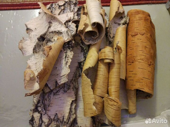 Береста для поделок