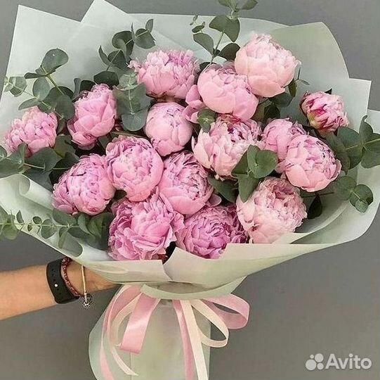 Пионы Букеты Цветы Доставка