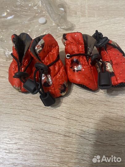 Одежда для собачек мелких пород (мальчики)