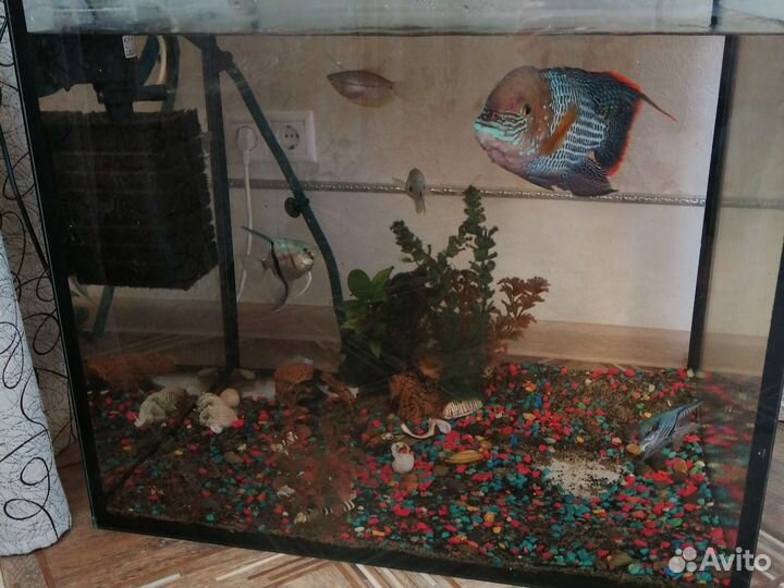 Аквариум