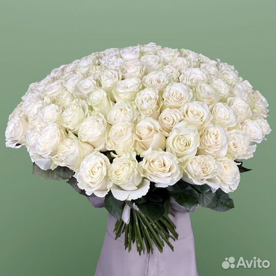 Высокие розы