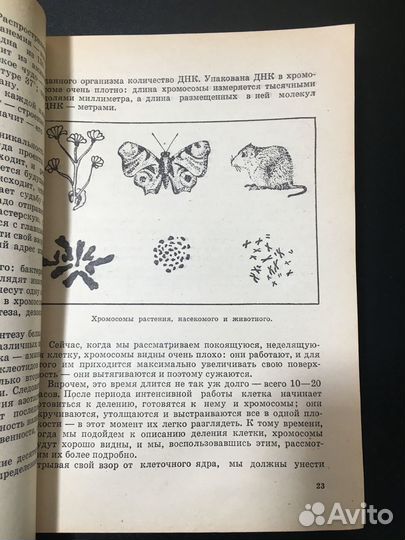 Тайнопись жизни, Азерников, 1973 генетика