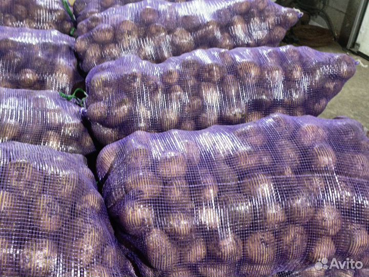 Продам картофель домашний