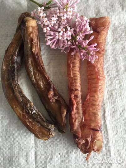 Лакомства для собак