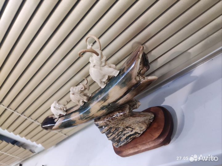 Бивень мамонта 