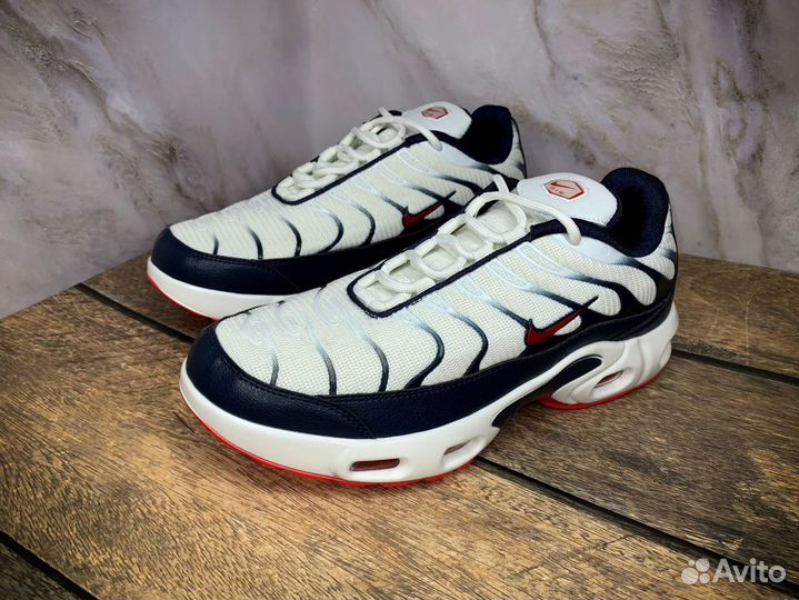 Кроссовки Nike Air Max Tn Plus