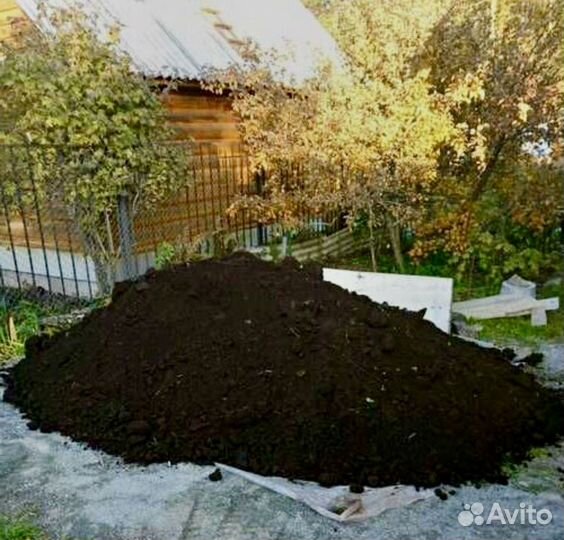 Чернозем