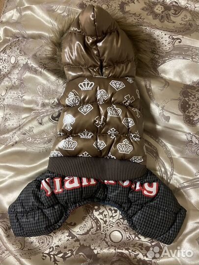 Одежда для маленьких собак