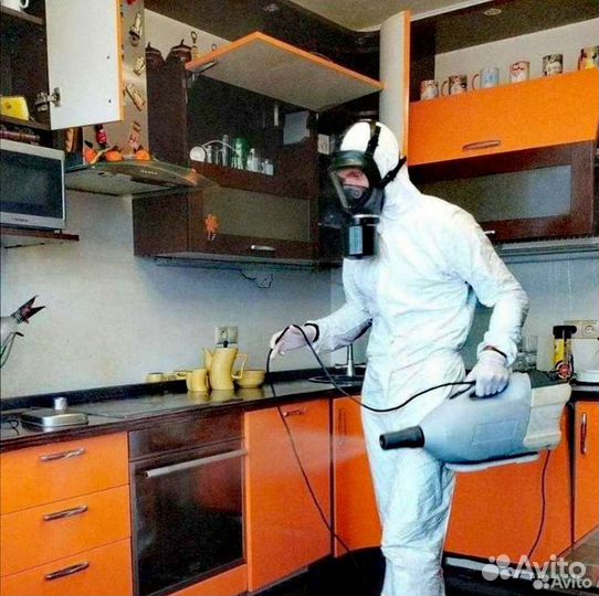 Уничтожение клопов тараканов мышей запаха блох