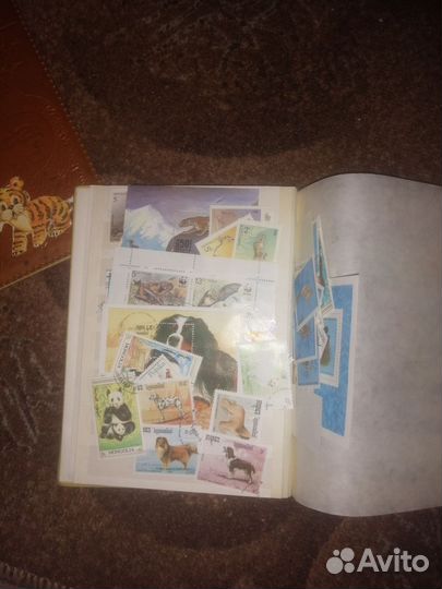 Почтовые марки.Очень много