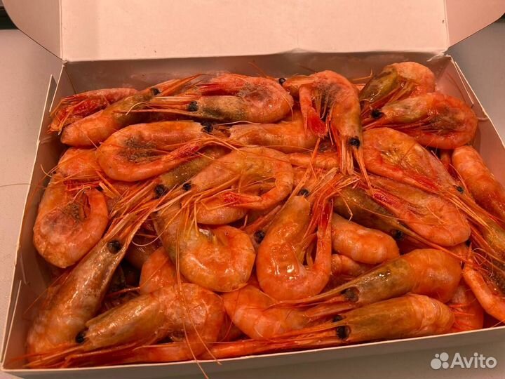 Креветка северная. Крупные. Опт