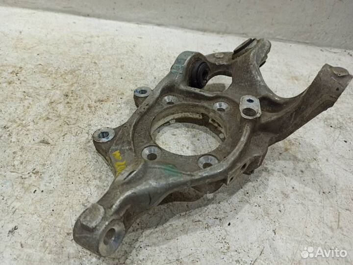 Кулак задний правый