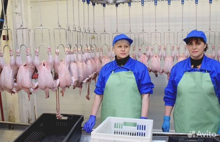 Упаковщики /проживание+питание компенсация проезда