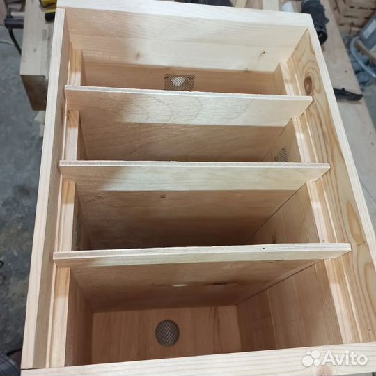 Улей-нуклеус