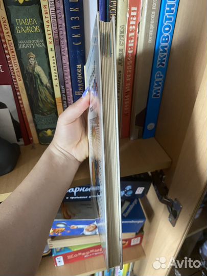 Картинный словарь Русского Языка, Баранников