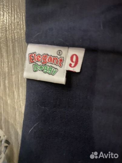 Одежда для собак