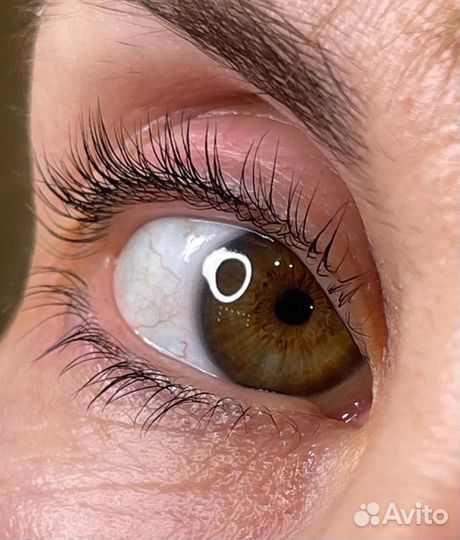 Окрашивание бровей, ламинирование ресниц