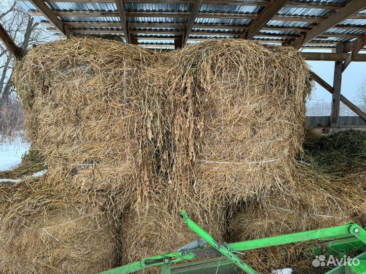 Сено в рулонах