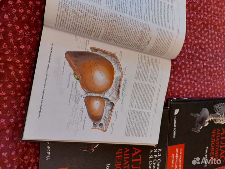 Атлас анатомии человека Синельников в 4 томах