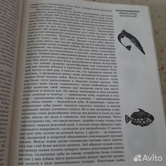 Брем Рыбы и амфибии