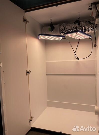 Гроубокс 140х80х60